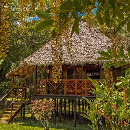 Corto Maltes Amazonia Lodge Puerto Maldonado Exterior photo