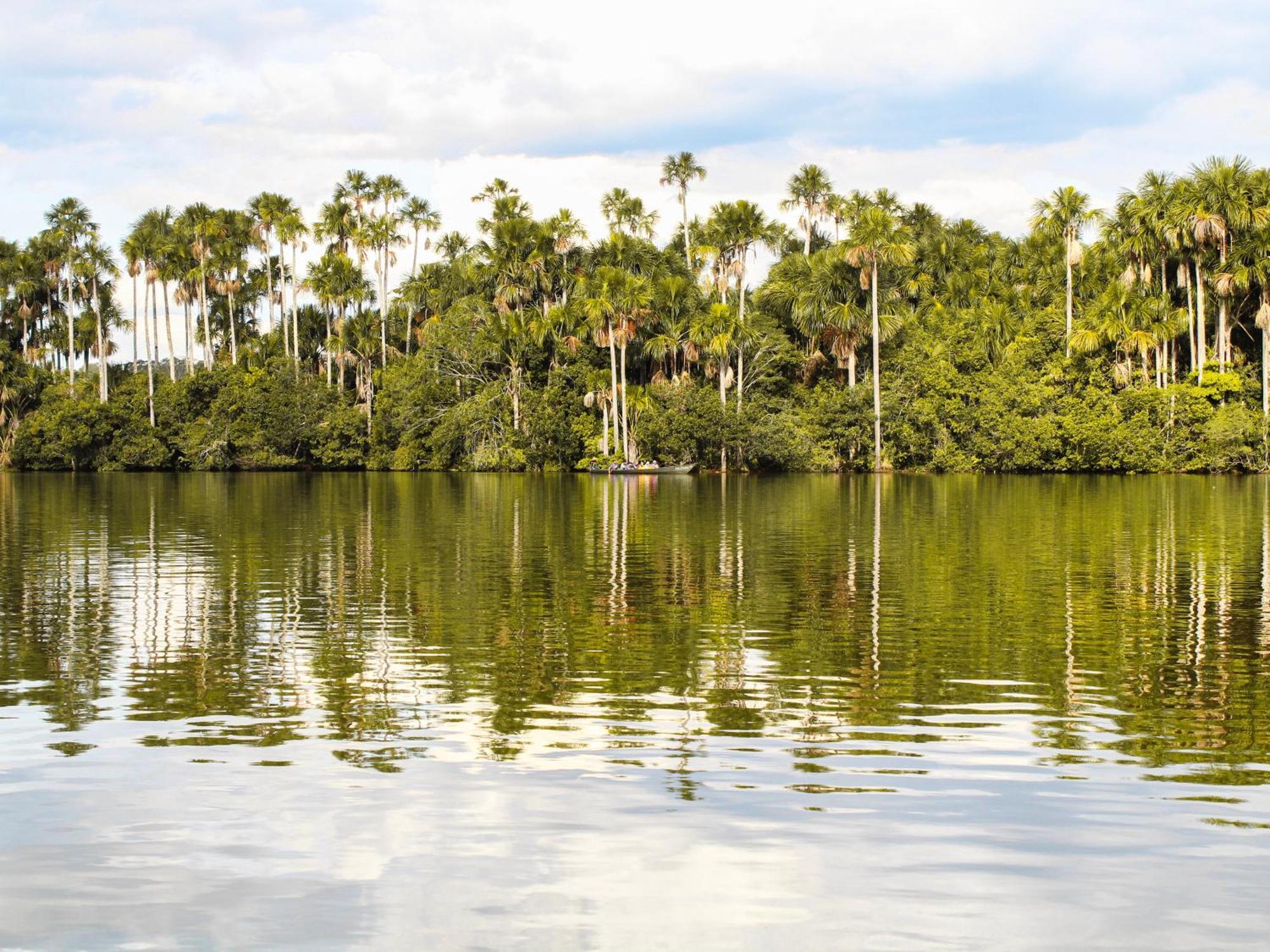 Corto Maltes Amazonia Lodge Puerto Maldonado Exterior photo