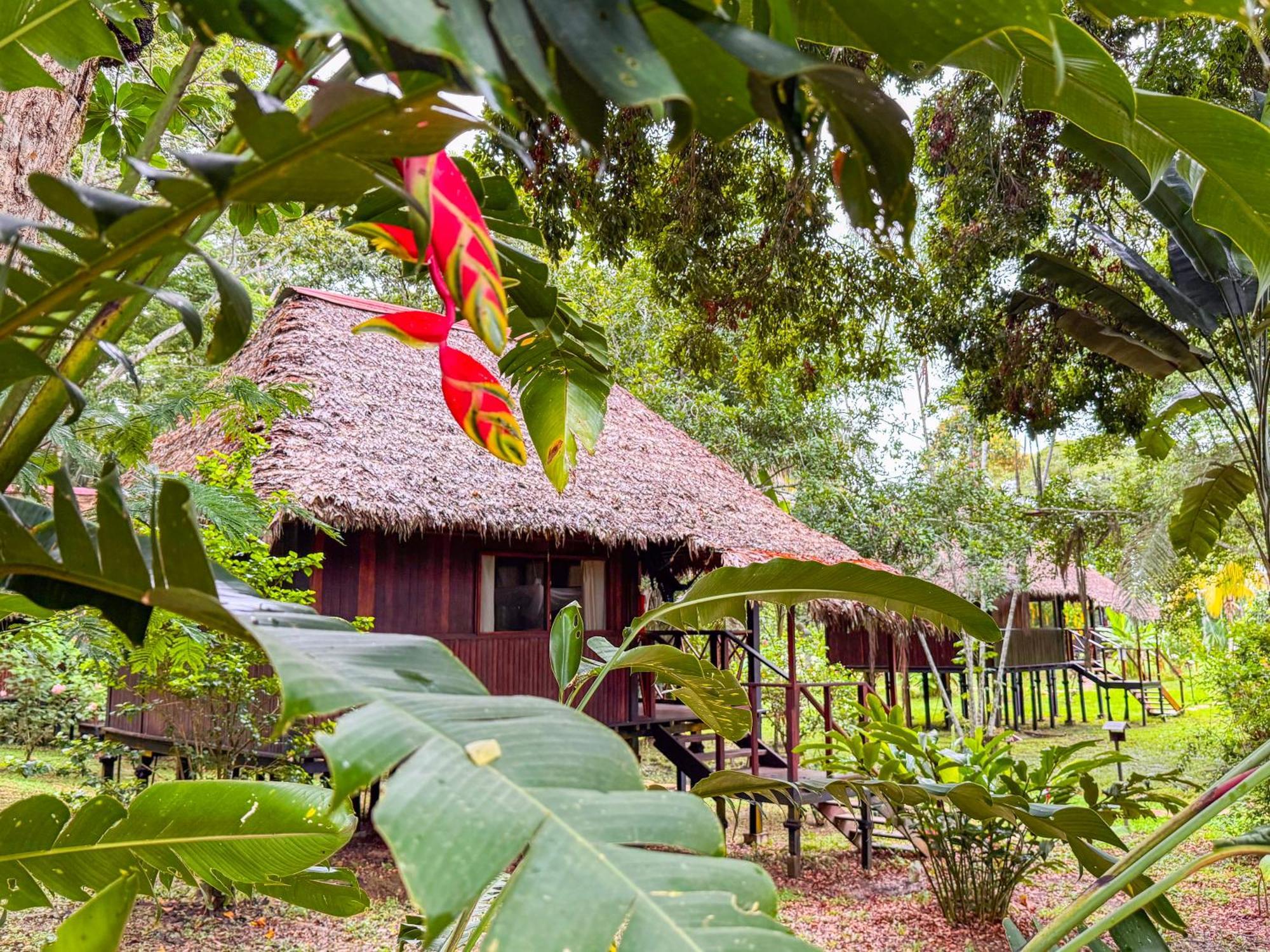 Corto Maltes Amazonia Lodge Puerto Maldonado Exterior photo